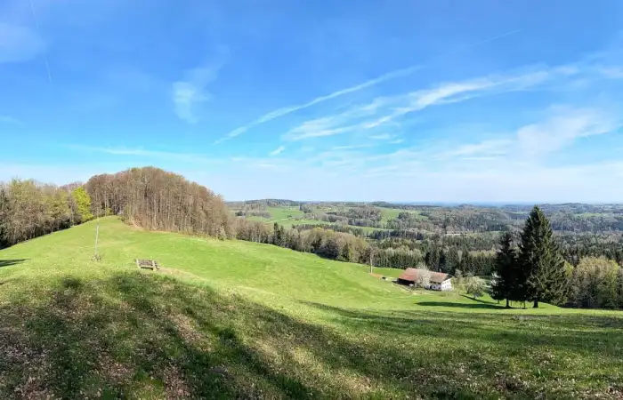 Miesbach, Ausschnitt