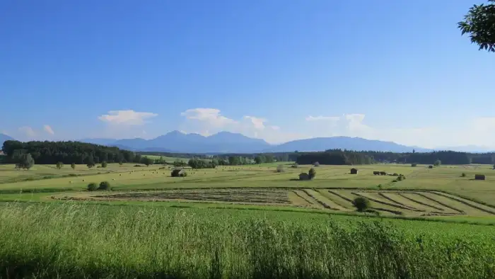 Saaldorf-Surheim, Ausschnitt
